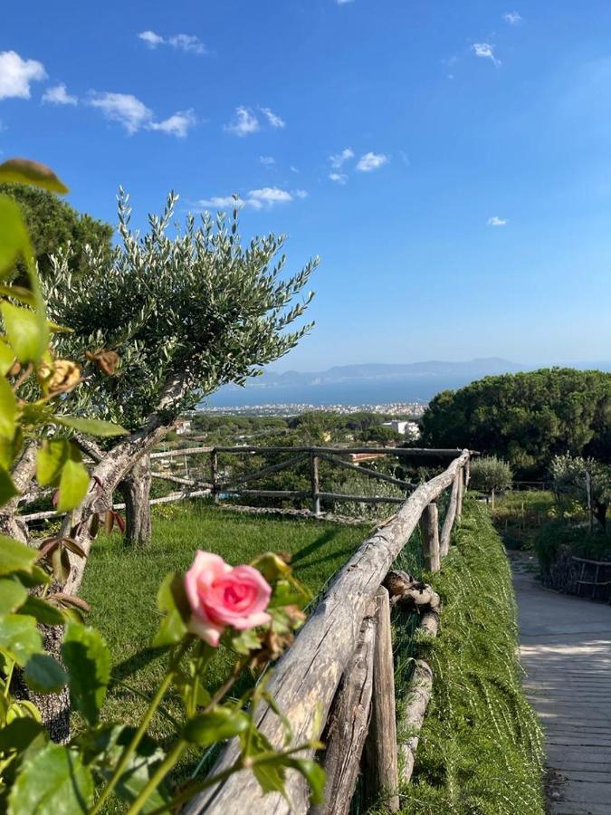 B&B Sunset Ercolano Eksteriør billede